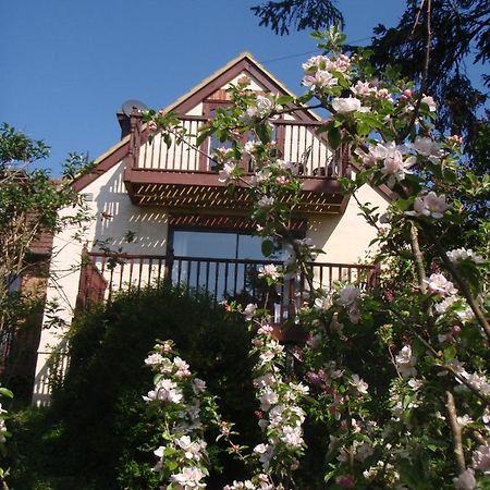 Skerries B And B Lyme Regis Exterior photo